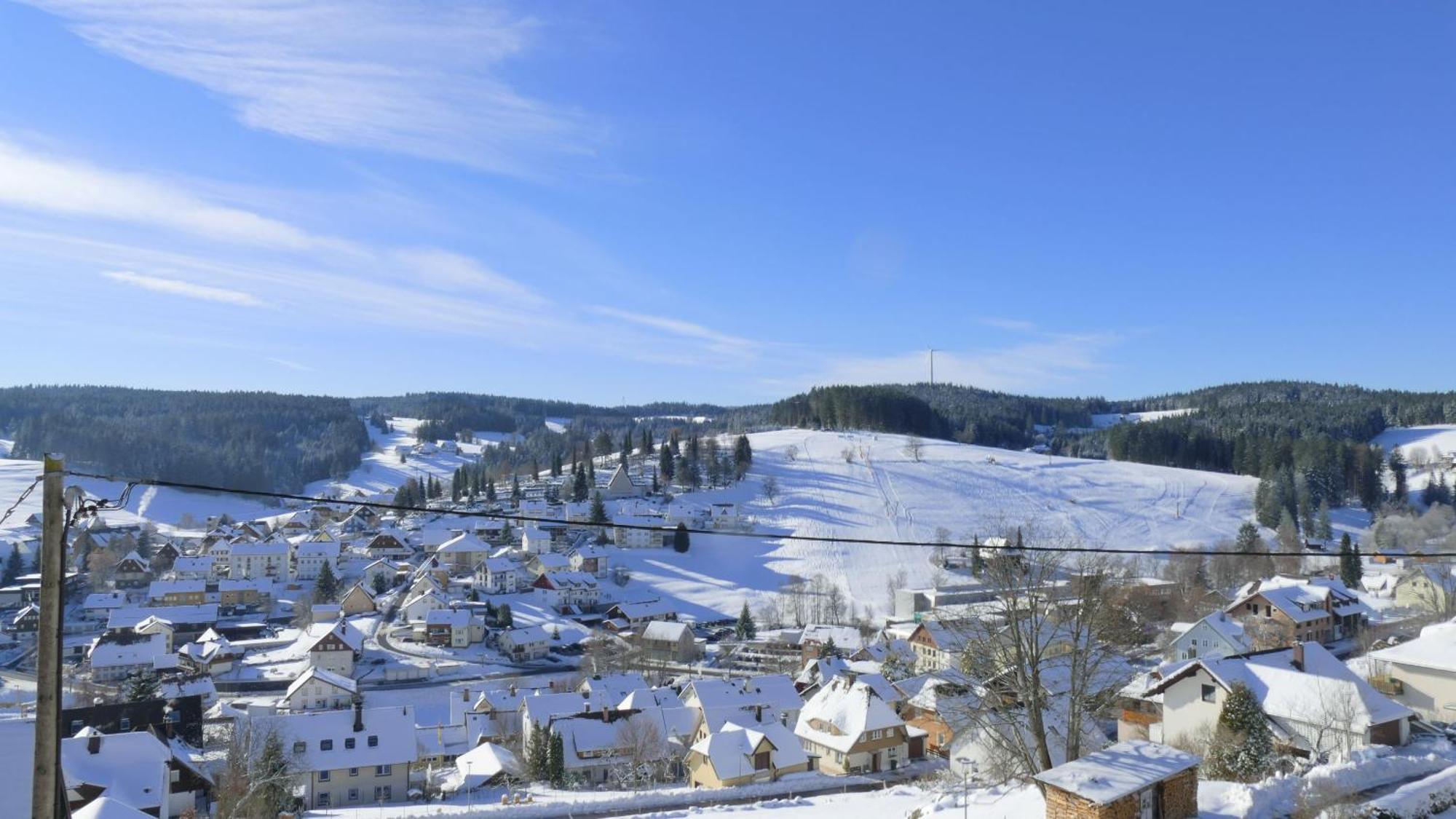 Black Forest Birdnest Schonach im Schwarzwald Exterior photo